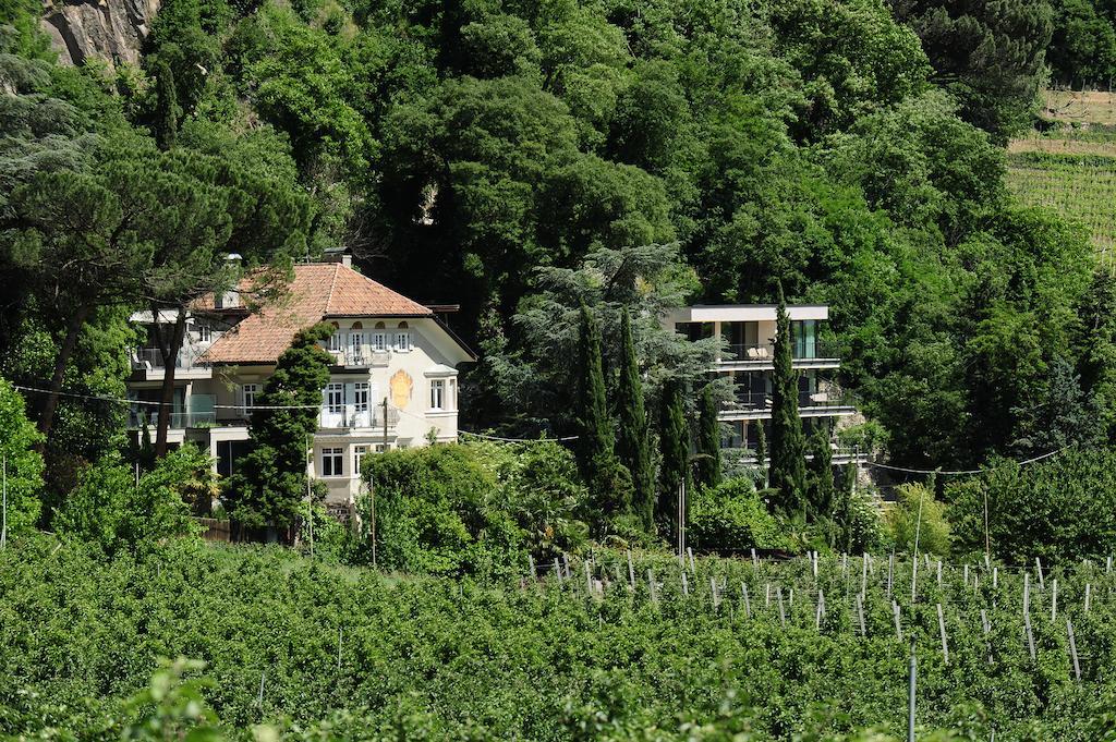Sasso 4*