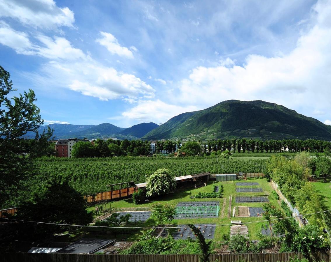 Aparthotel Sasso 4*